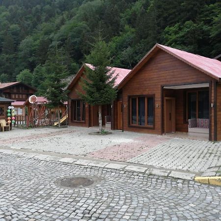 Zeren Apart Bungalov ウズンギョル エクステリア 写真